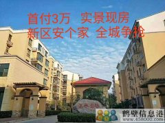 首付3萬(wàn)，新區(qū)安個(gè)家